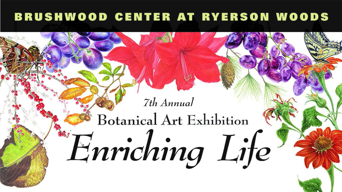 7th Annual Botanical Art Exhibition Enriching Life